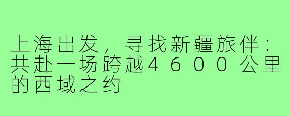 上海出发，寻找新疆旅伴：共赴一场跨越4600公里的西域之约