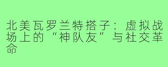 北美瓦罗兰特搭子：虚拟战场上的“神队友”与社交革命
