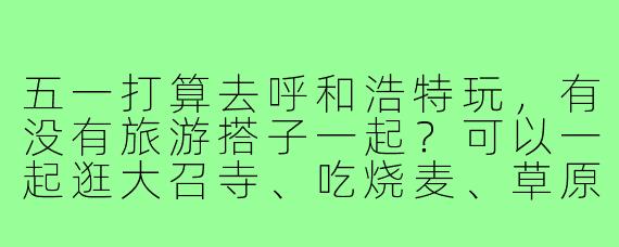 五一打算去呼和浩特玩,有没有旅游搭子一起?可以一起逛大召寺、吃烧麦、草原骑马!