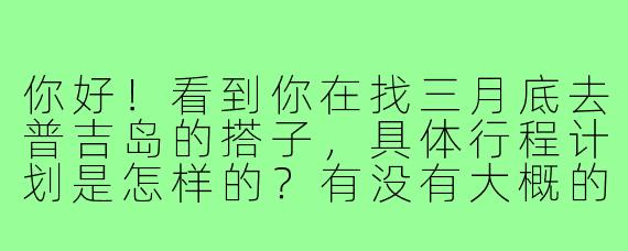 你好！看到你在找三月底去普吉岛的搭子，具体行程计划是怎样的？有没有大概的预算和想玩的景点呢？