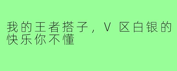 我的王者搭子，V区白银的快乐你不懂