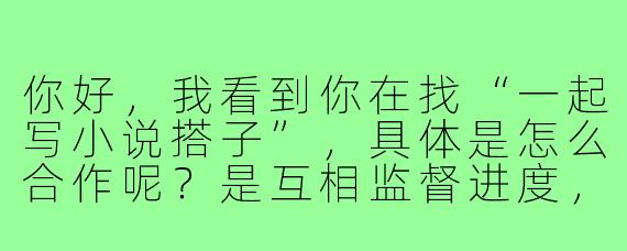 你好，我看到你在找“一起写小说搭子”，具体是怎么合作呢？是互相监督进度，还是共同创作一个故事？