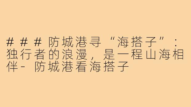 ###防城港寻“海搭子”:独行者的浪漫,是一程山海相伴-防城港看海搭子