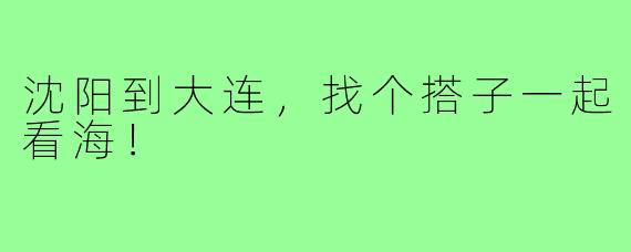 沈阳到大连，找个搭子一起看海！