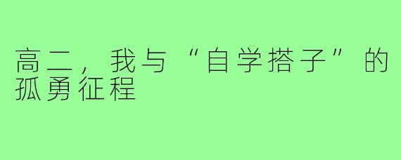 高二，我与“自学搭子”的孤勇征程