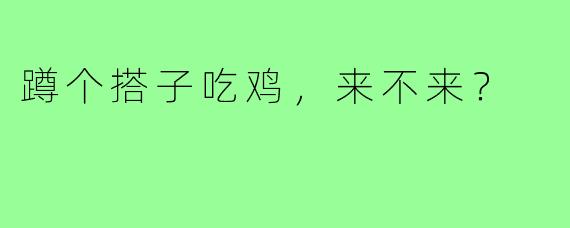 蹲个搭子吃鸡，来不来？
