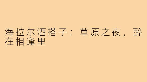 海拉尔酒搭子：草原之夜，醉在相逢里