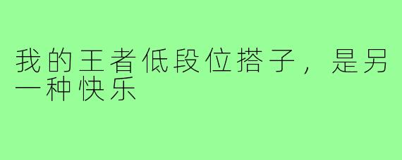 我的王者低段位搭子，是另一种快乐