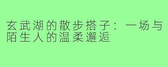 玄武湖的散步搭子：一场与陌生人的温柔邂逅