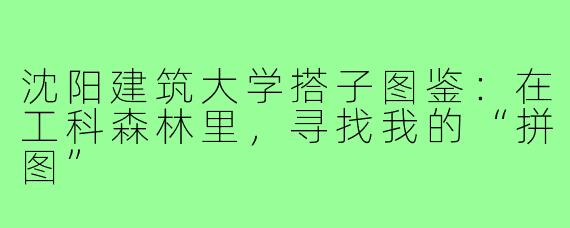 沈阳建筑大学搭子图鉴:在工科森林里,寻找我的“拼图”