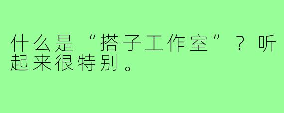 什么是“搭子工作室”？听起来很特别。