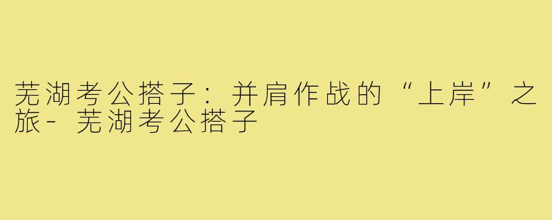 芜湖考公搭子：并肩作战的“上岸”之旅-芜湖考公搭子