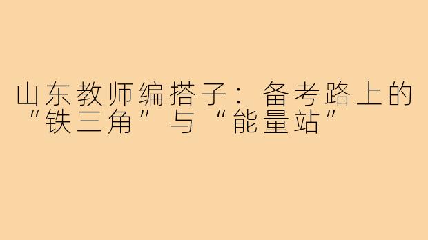 山东教师编搭子：备考路上的“铁三角”与“能量站”