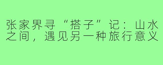 张家界寻“搭子”记：山水之间，遇见另一种旅行意义