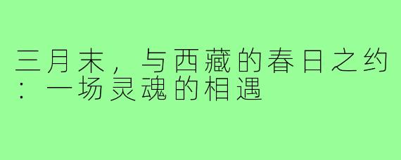 三月末,与西藏的春日之约:一场灵魂的相遇