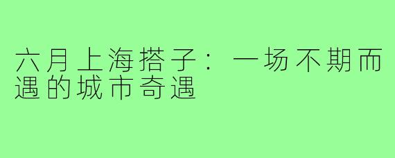 六月上海搭子：一场不期而遇的城市奇遇