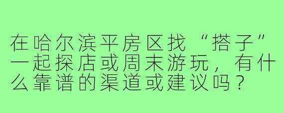 在哈尔滨平房区找“搭子”一起探店或周末游玩，有什么靠谱的渠道或建议吗？