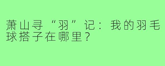 萧山寻“羽”记:我的羽毛球搭子在哪里?