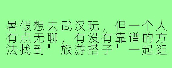暑假想去武汉玩，但一个人有点无聊，有没有靠谱的方法找到