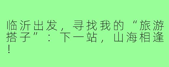 临沂出发，寻找我的“旅游搭子”：下一站，山海相逢！
