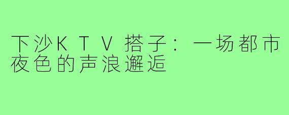 下沙KTV搭子：一场都市夜色的声浪邂逅