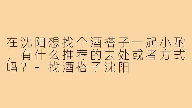 在沈阳想找个酒搭子一起小酌，有什么推荐的去处或者方式吗？-找酒搭子沈阳
