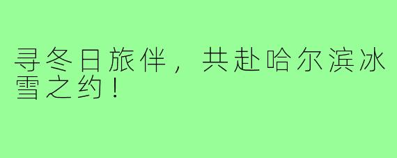 寻冬日旅伴，共赴哈尔滨冰雪之约！