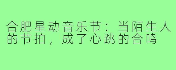 合肥星动音乐节：当陌生人的节拍，成了心跳的合鸣