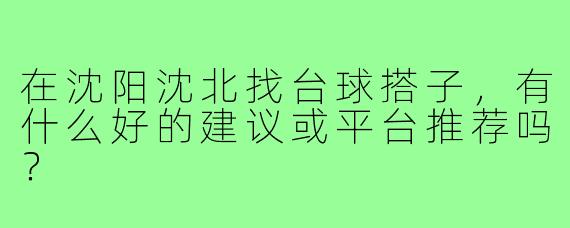 在沈阳沈北找台球搭子，有什么好的建议或平台推荐吗？