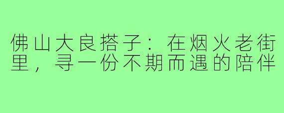 佛山大良搭子：在烟火老街里，寻一份不期而遇的陪伴