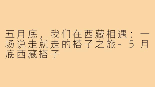 五月底，我们在西藏相遇：一场说走就走的搭子之旅-5月底西藏搭子