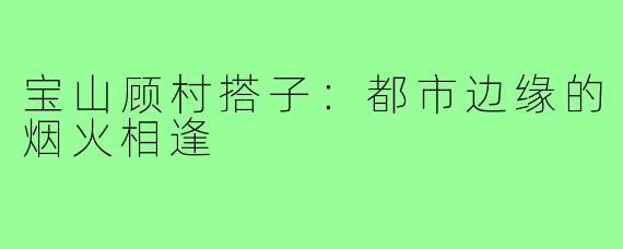 宝山顾村搭子：都市边缘的烟火相逢