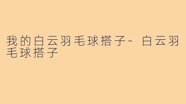我的白云羽毛球搭子-白云羽毛球搭子