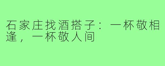 石家庄找酒搭子：一杯敬相逢，一杯敬人间