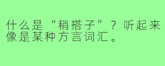 什么是“稍搭子”？听起来像是某种方言词汇。
