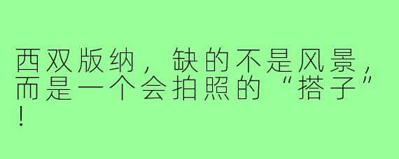 西双版纳，缺的不是风景，而是一个会拍照的“搭子”！