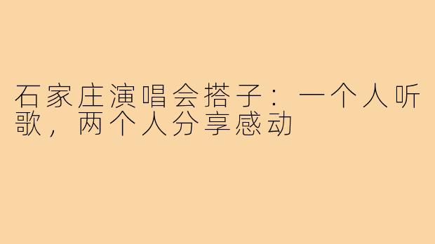 石家庄演唱会搭子：一个人听歌，两个人分享感动