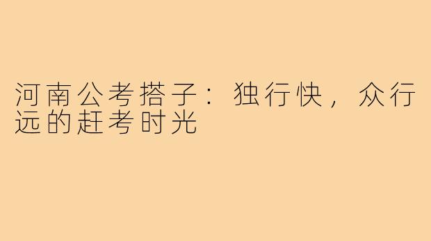 河南公考搭子：独行快，众行远的赶考时光