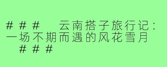 ###
云南搭子旅行记：一场不期而遇的风花雪月

###