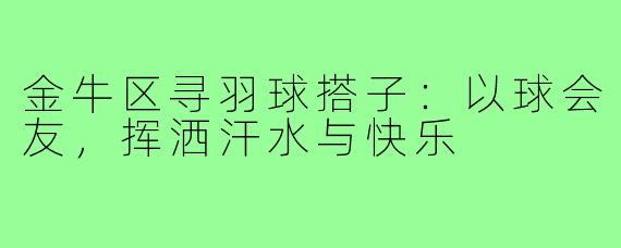 金牛区寻羽球搭子：以球会友，挥洒汗水与快乐