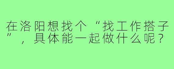 在洛阳想找个“找工作搭子”，具体能一起做什么呢？