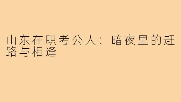 山东在职考公人：暗夜里的赶路与相逢