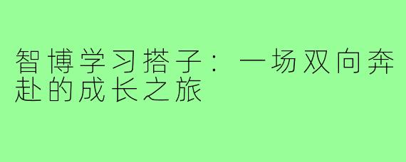 智博学习搭子：一场双向奔赴的成长之旅