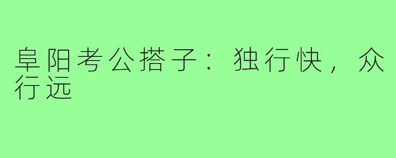 阜阳考公搭子：独行快，众行远