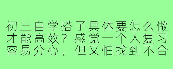 初三自学搭子具体要怎么做才能高效？感觉一个人复习容易分心，但又怕找到不合适的人反而影响进度。