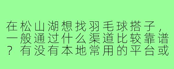 在松山湖想找羽毛球搭子，一般通过什么渠道比较靠谱？有没有本地常用的平台或群组？