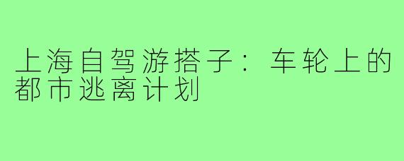 上海自驾游搭子：车轮上的都市逃离计划