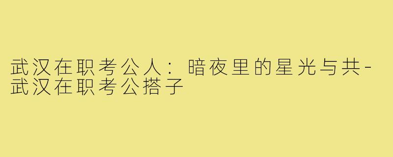 武汉在职考公人:暗夜里的星光与共-武汉在职考公搭子