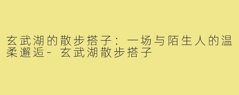 玄武湖的散步搭子：一场与陌生人的温柔邂逅-玄武湖散步搭子