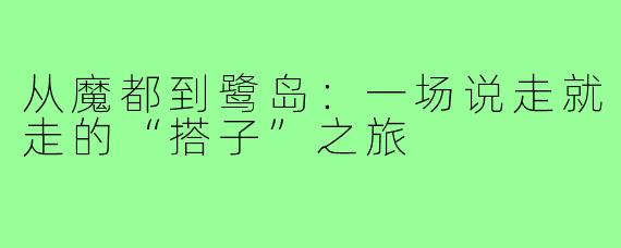 从魔都到鹭岛：一场说走就走的“搭子”之旅